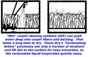 CleaningProcess.JPG (70606 bytes)